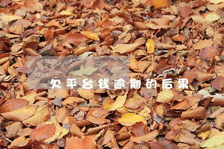欠平台钱逾期的后果 欠平台钱逾期的后果