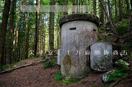 欠平安11万逾期协商五年不成功 欠平安11万逾期协商五年不成功