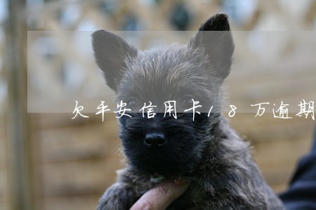 欠平安信用卡18万逾期2年 欠平安信用卡18万逾期2年