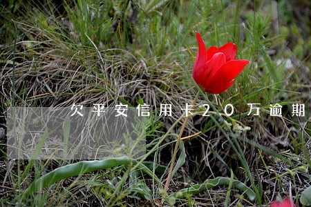 欠平安信用卡20万逾期 欠平安信用卡20万逾期