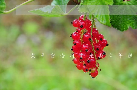 欠平安信用卡逾期六年想还款 欠平安信用卡逾期六年想还款