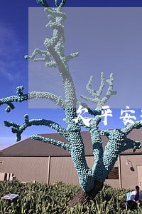 欠平安新一贷逾期半年 欠平安新一贷逾期半年
