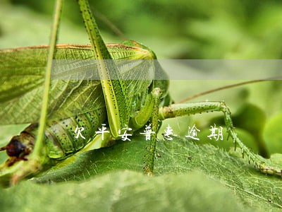 欠平安普惠逾期 欠平安普惠逾期