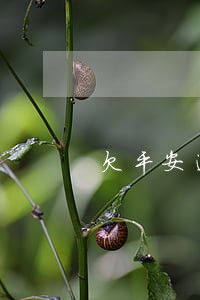 欠平安逾期七八年了怎么办 欠平安逾期七八年了怎么办