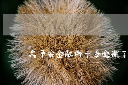 欠平安金融两千多逾期了怎么办 欠平安金融两千多逾期了怎么办