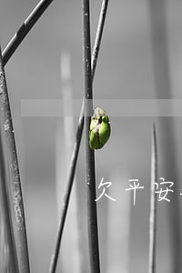欠平安钱逾期跟平安怎么沟通 欠平安钱逾期跟平安怎么沟通