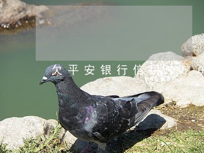 欠平安银行信用卡5000逾期 欠平安银行信用卡5000逾期