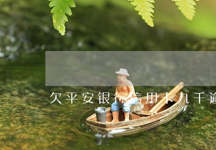 欠平安银行信用卡九千逾期四个月