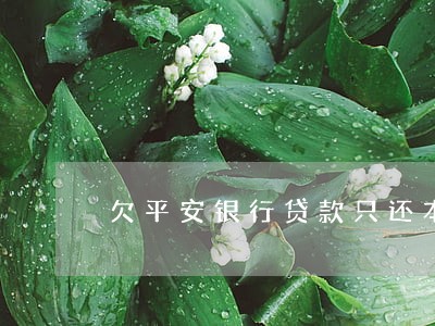 欠平安银行贷款只还本金可以吗 欠平安银行贷款只还本金可以吗