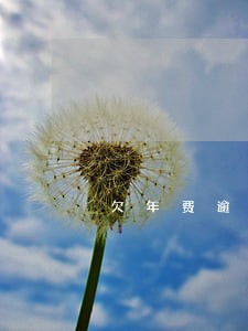 欠年费逾期怎么开无恶意欠款证明 欠年费逾期怎么开无恶意欠款证明