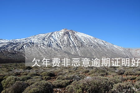 欠年费非恶意逾期证明好开吗 欠年费非恶意逾期证明好开吗