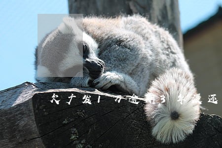 欠广发1万逾期3年没还了 欠广发1万逾期3年没还了