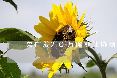 欠广发20万逾期能协商吗 欠广发20万逾期能协商吗
