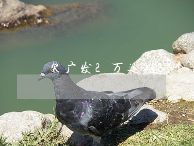 欠广发2万逾期2个月 欠广发2万逾期2个月