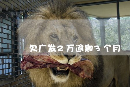 欠广发2万逾期3个月 欠广发2万逾期3个月