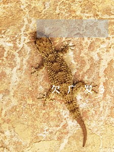 欠广发3W逾期4个月 欠广发3W逾期4个月