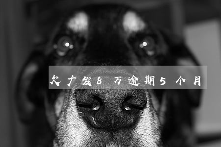 欠广发8万逾期5个月 欠广发8万逾期5个月