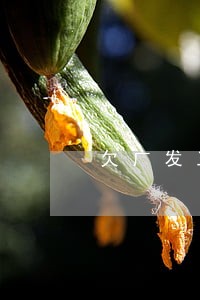 欠广发三千左右逾期三个月 欠广发三千左右逾期三个月