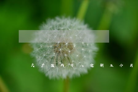 欠广发两万八逾期五个月 欠广发两万八逾期五个月