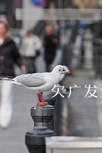 欠广发信用卡7万逾期 欠广发信用卡7万逾期