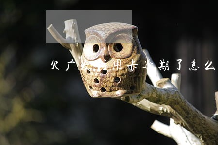 欠广发信用卡逾期了怎么办 欠广发信用卡逾期了怎么办