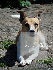 欠广发银行信用卡已逾期4个月 欠广发银行信用卡已逾期4个月