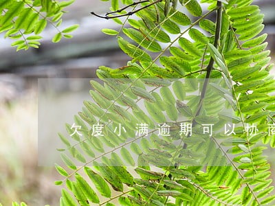 欠度小满逾期可以协商延长分期吗 欠度小满逾期可以协商延长分期吗