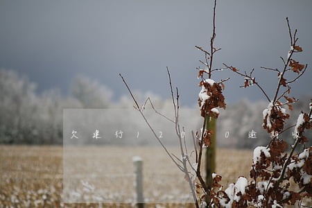 欠建行12000逾期收到律师函 欠建行12000逾期收到律师函