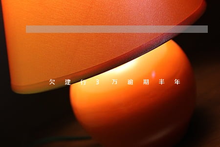欠建行3万逾期半年