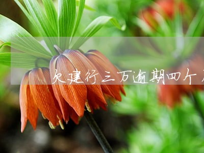 欠建行三万逾期四个月 欠建行三万逾期四个月