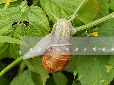 欠建行信用消费贷逾期啦 欠建行信用消费贷逾期啦