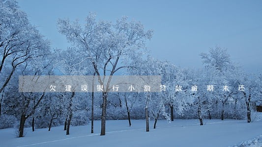 欠建设银行小额贷款逾期未还 欠建设银行小额贷款逾期未还