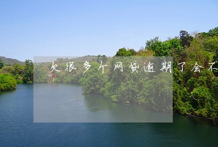 欠很多个网贷逾期了会不会立案 欠很多个网贷逾期了会不会立案