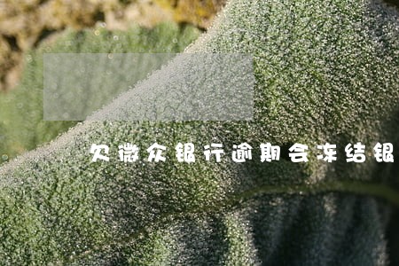 欠微众银行逾期会冻结银行卡吗 欠微众银行逾期会冻结银行卡吗