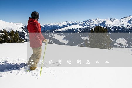 欠微信贷逾期怎么办 欠微信贷逾期怎么办