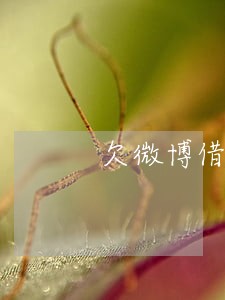 欠微博借钱逾期 欠微博借钱逾期