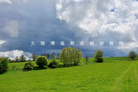 欠微博逾期会被仲裁吗 欠微博逾期会被仲裁吗