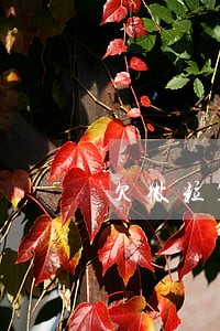 欠微粒10逾期