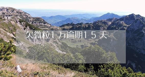 欠微粒1万逾期15天 欠微粒1万逾期15天