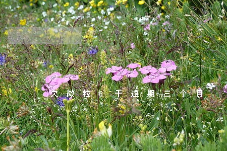 欠微粒6千逾期三个月 欠微粒6千逾期三个月