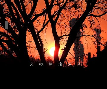 欠微粒逾期后 欠微粒逾期后
