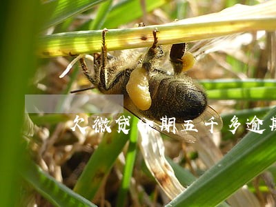 欠微贷分期五千多逾期了 欠微贷分期五千多逾期了