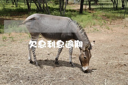欠息利息逾期