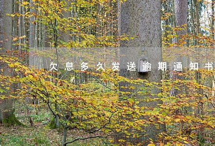 欠息多久发送逾期通知书 欠息多久发送逾期通知书
