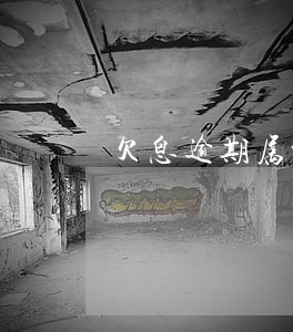 欠息逾期属于哪种信用形式