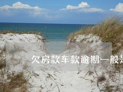 欠房款车款逾期一般是银行追踪吗 欠房款车款逾期一般是银行追踪吗
