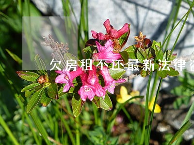 欠房租不还最新法律咨询 欠房租不还最新法律咨询