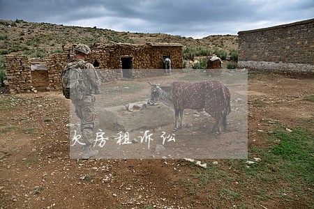 欠房租诉讼