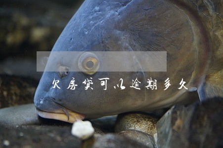 欠房贷可以逾期多久 欠房贷可以逾期多久