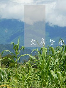 欠房贷逾期没还可以办理房产证吗 欠房贷逾期没还可以办理房产证吗